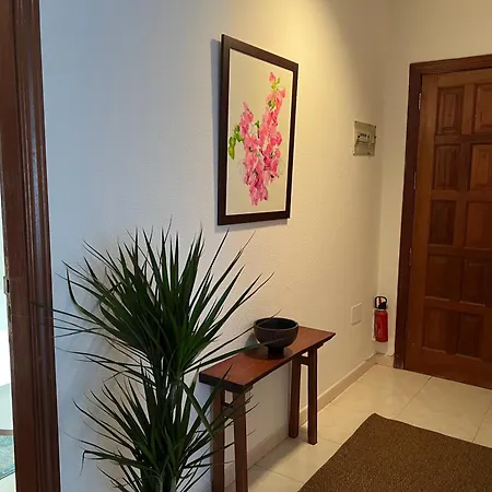 Cozy Apartamento